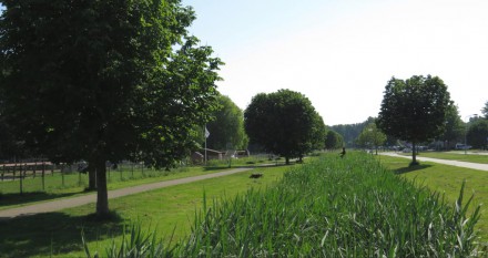 Polderpark langs Granpré Molièrestraat